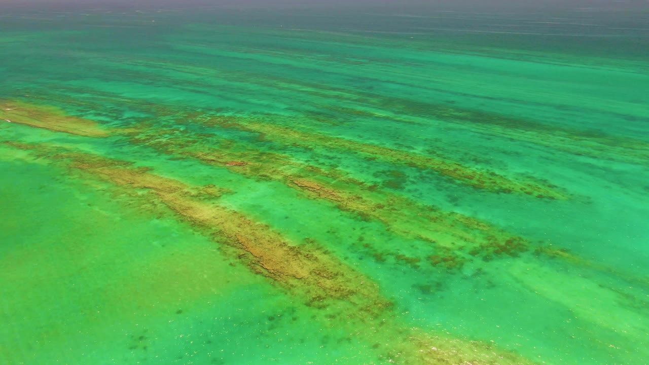 Shallow ocean water with brown reef patches and a darker band of water above.