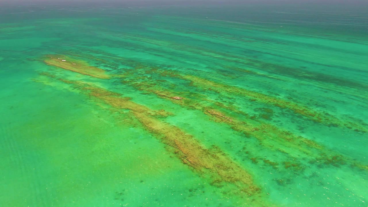 Clear shallow sea in Cabo Pulmo with elongated tan reef forms running diagonally under green-blue water and no visible people.
