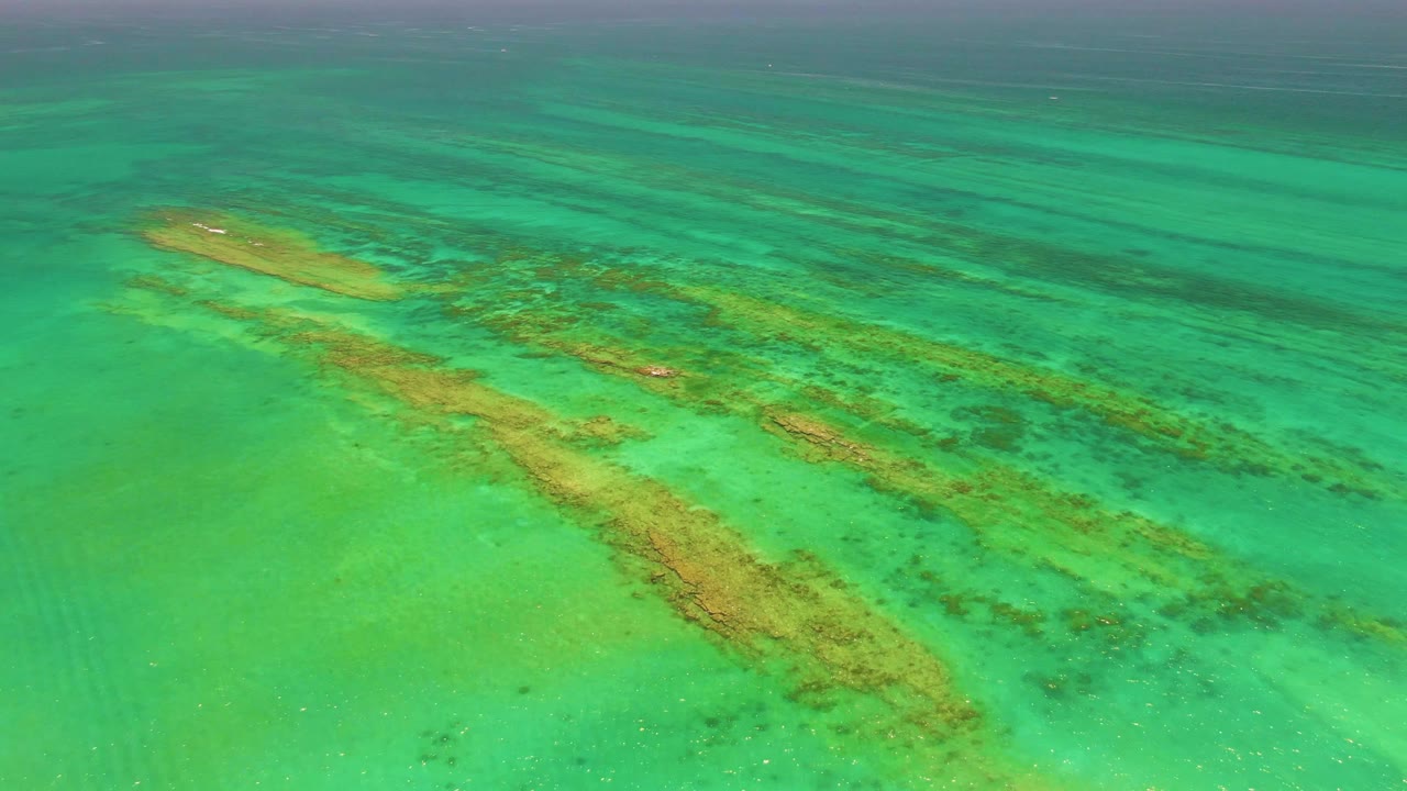 Aerial view over Cabo Pulmo water with bright turquoise shallows, clustered reef patches near the center, and a darker blue upper edge, no visible people.