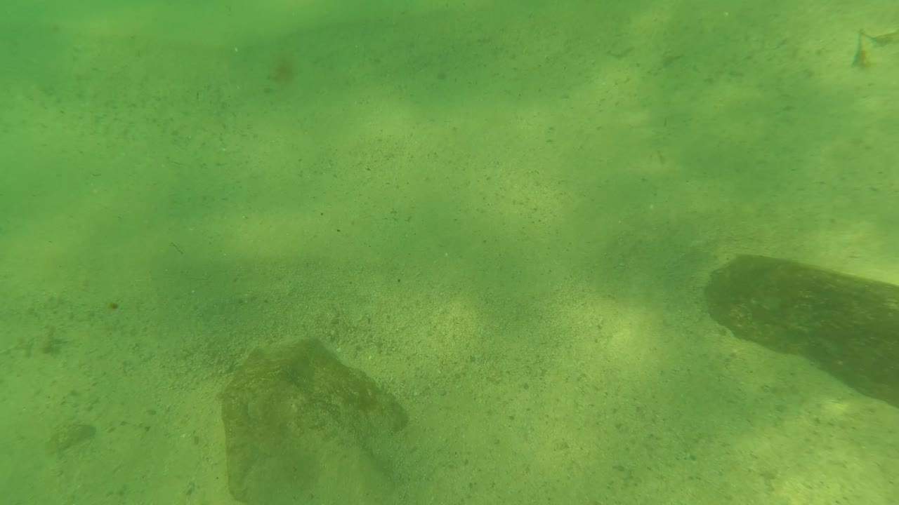 Green underwater sandy seabed with rocks and small fish