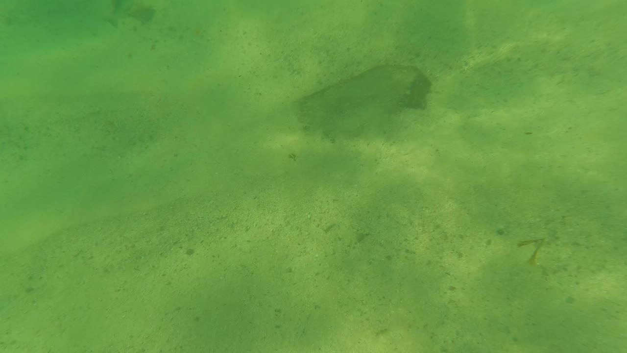 A green underwater frame in Los Barriles shows rippled sand, a prominent dark rock near the lower left, softer rocks beyond it, and no visible people.