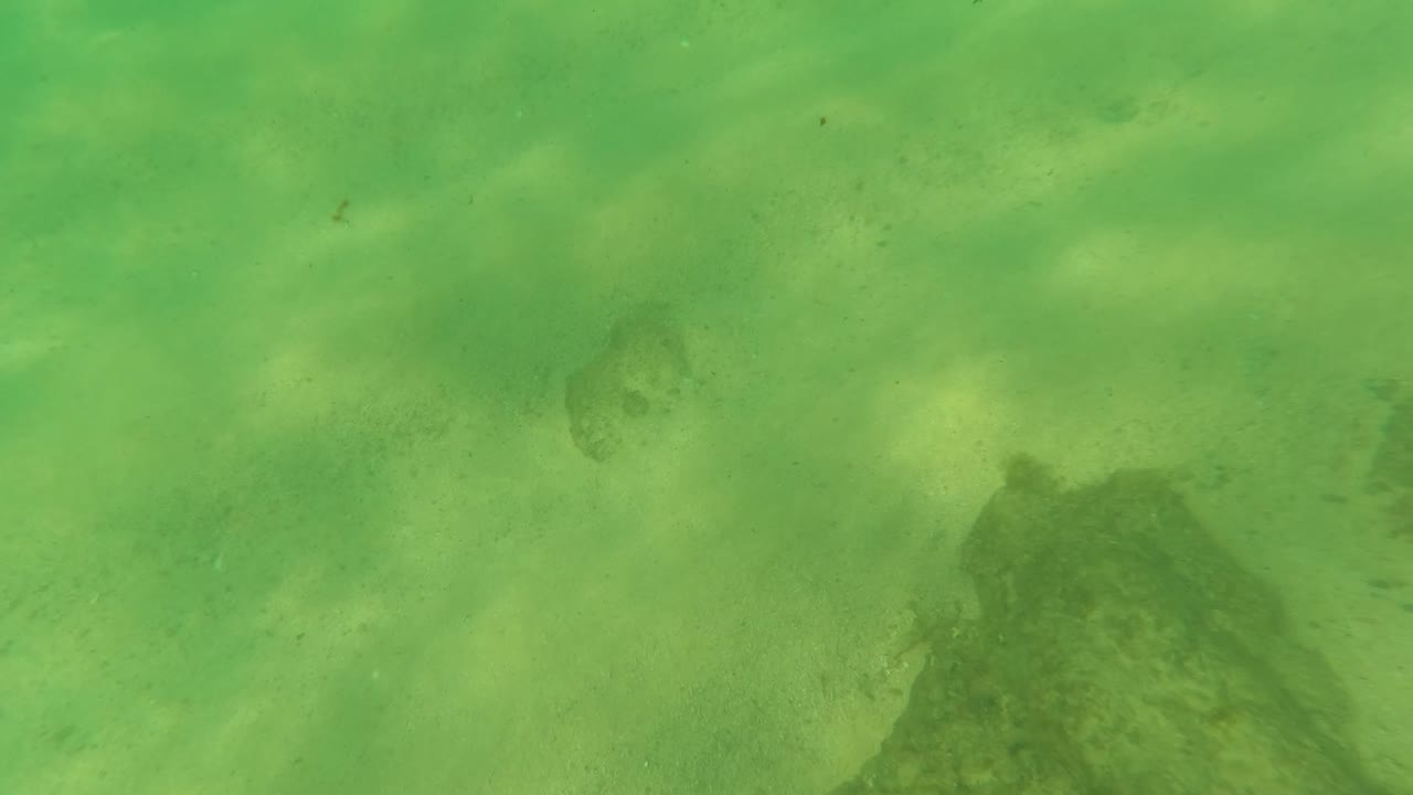Green-tinted underwater view in Los Barriles, Baja California Sur, with pale sand, soft particle haze, a dark rock near the lower edge, and no visible people.