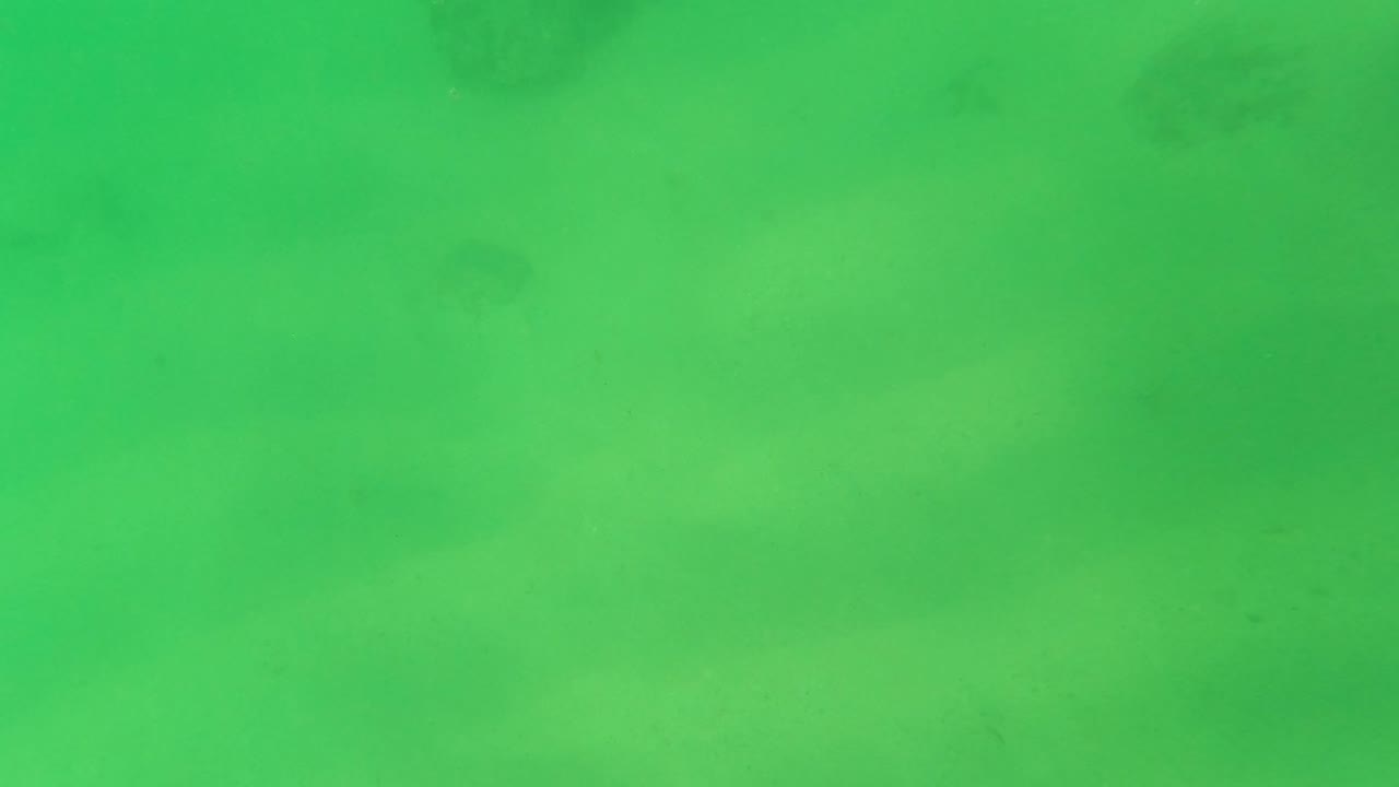 Green underwater frame from Los Barriles, Baja California Sur showing a sandy bottom, a darker rock or coral cluster near the upper area, faint fish, and no visible people.