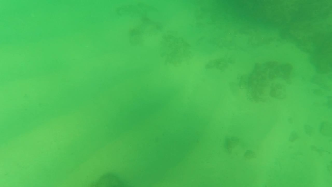 Opening frame of green water over a pale sandy seabed in Los Barriles, Baja California Sur, with faint vegetation patches and no visible people.
