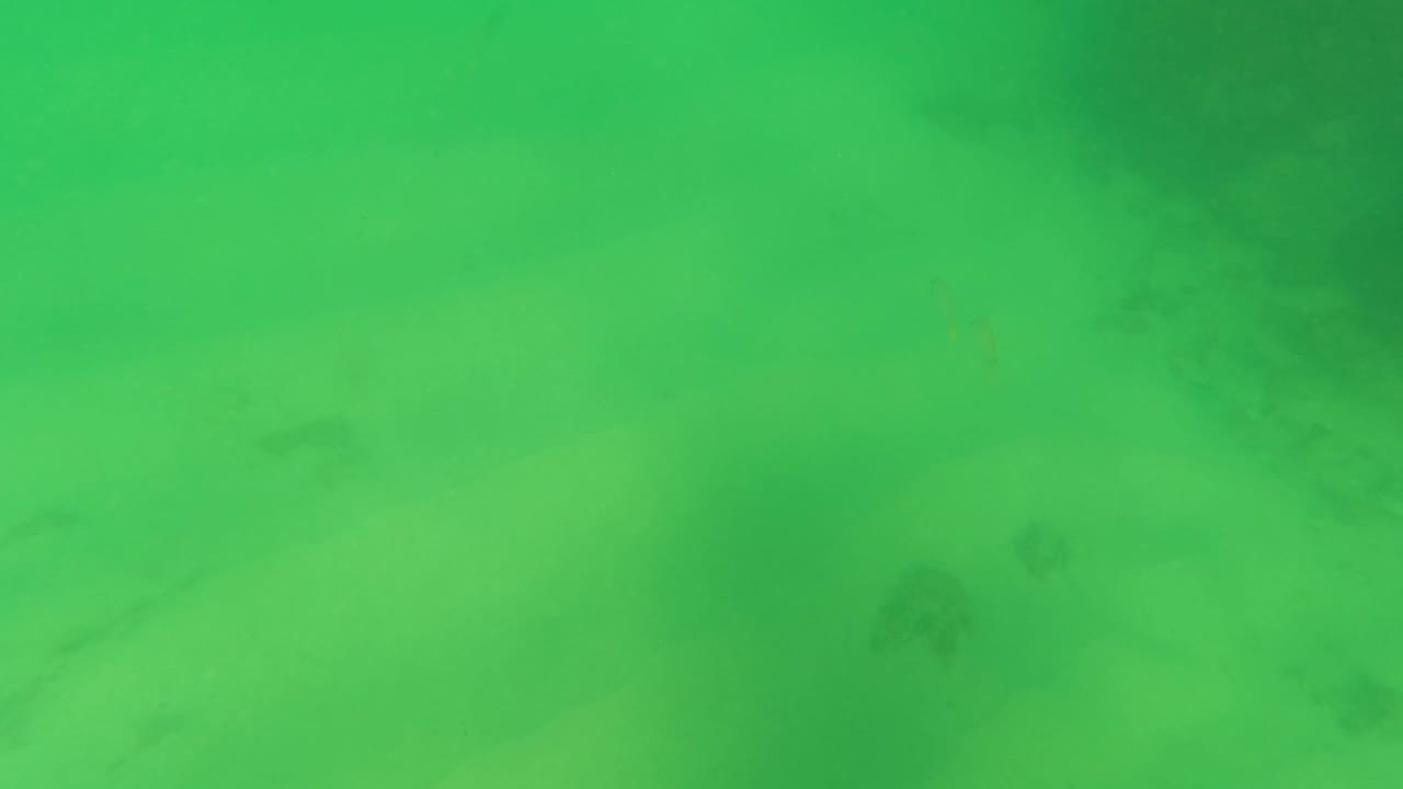 Mid-clip frame from Los Barriles, Baja California Sur, showing green water, pale sand, faint vegetation patches, and no visible people.