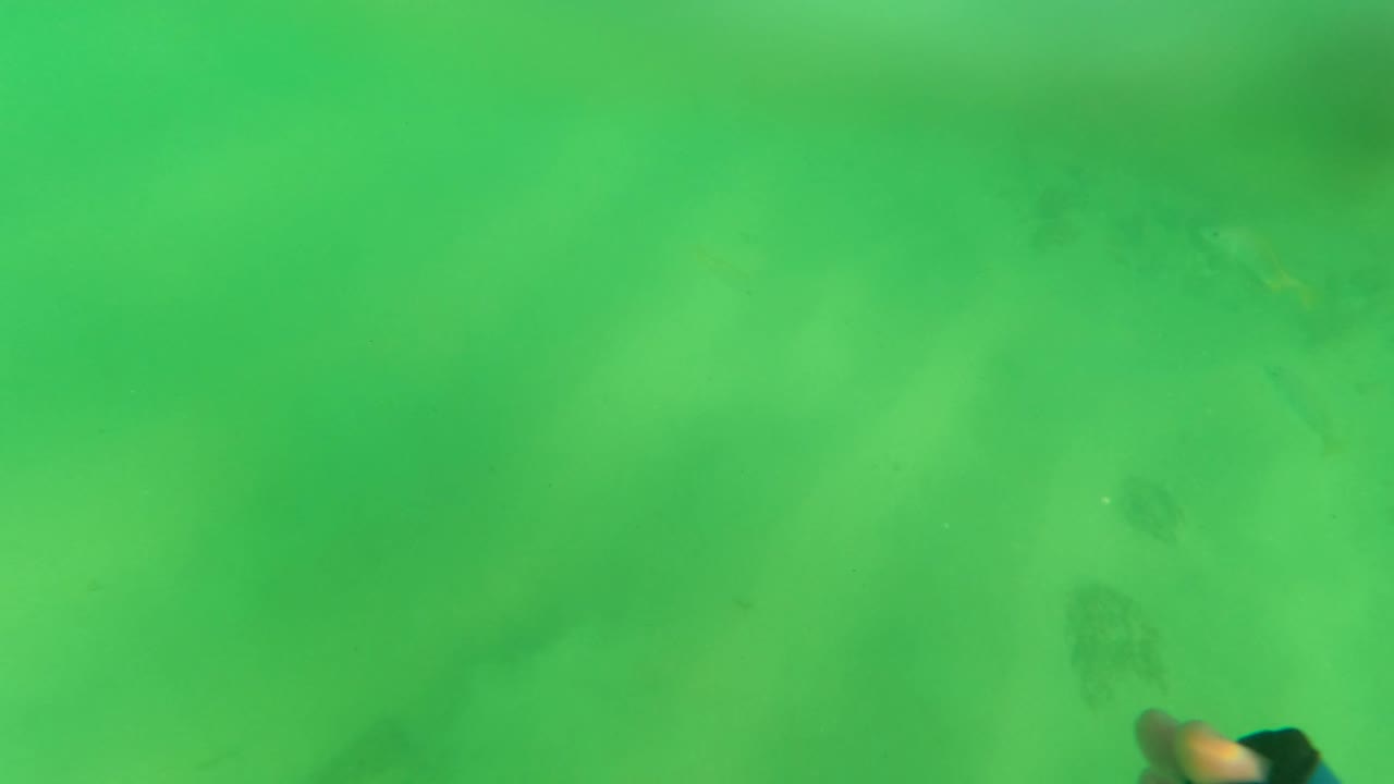 Green underwater frame from Los Barriles, Mexico, showing sandy seabed, dark rock patches, small fish, and a partial blue glove near the lower edge with no visible people.