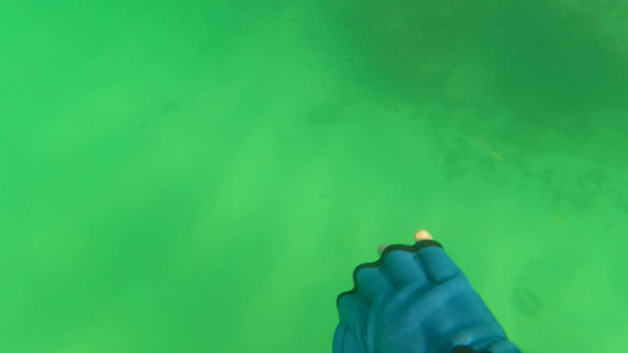 Green underwater view in Los Barriles, Mexico, with a blue gloved hand near center frame above sand, faint rock shapes, and small fish in the surrounding water, with no visible people.