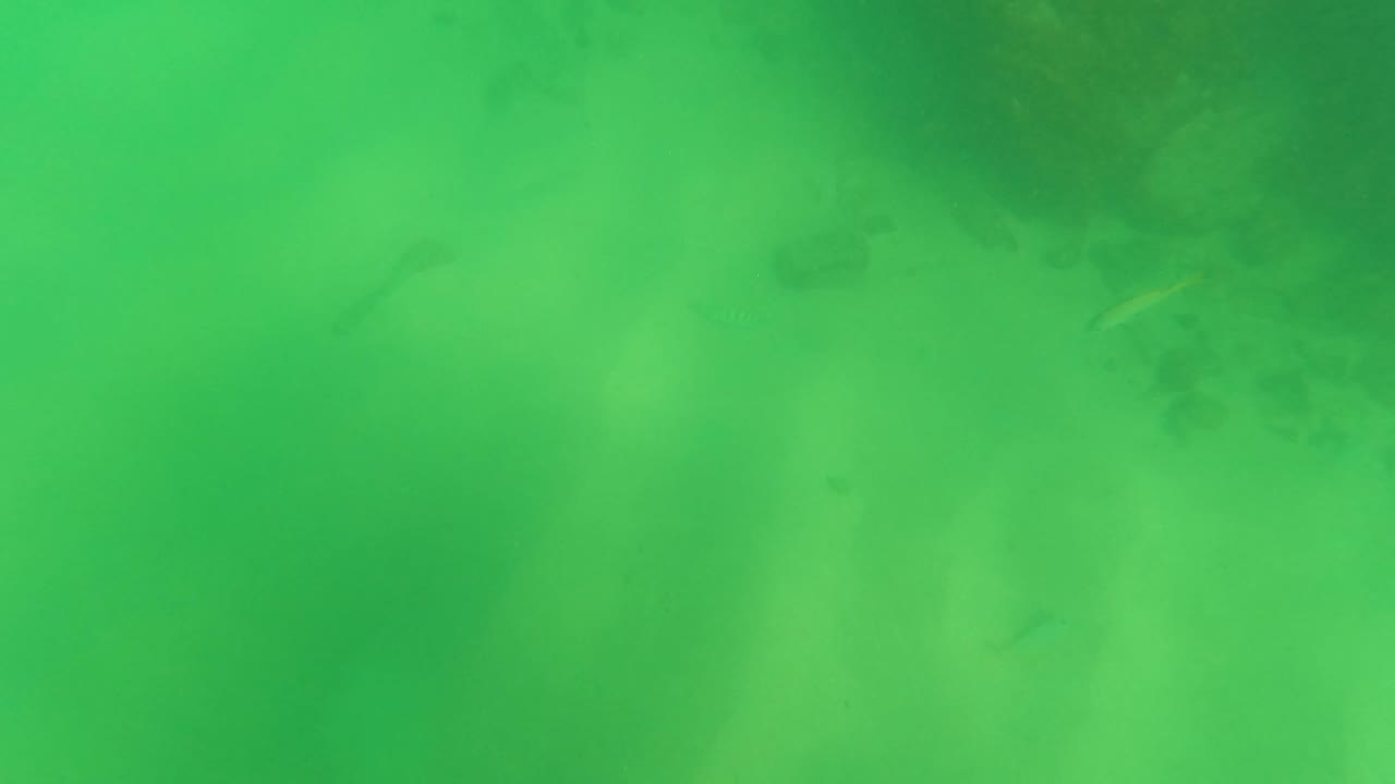 Los Barriles underwater frame showing green water, a sandy bottom, scattered dark rocks, and small fish, with the gloved hand no longer prominent and no visible people.