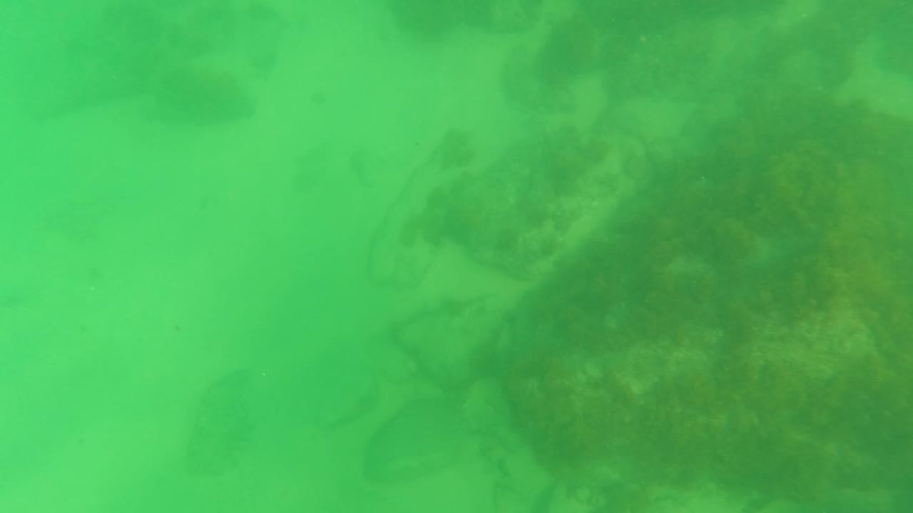 Green underwater view of rocks and sandy seabed