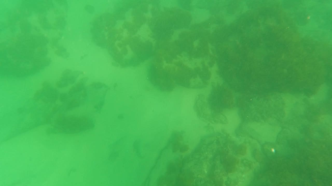 Small fish appear near darker rock clusters on the sandy seabed in green Los Barriles water, with no visible people.