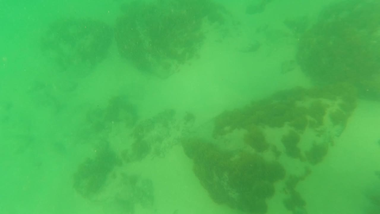 A green underwater frame in Los Barriles shows scattered rocks and pale sand across the lower view, with no visible people.