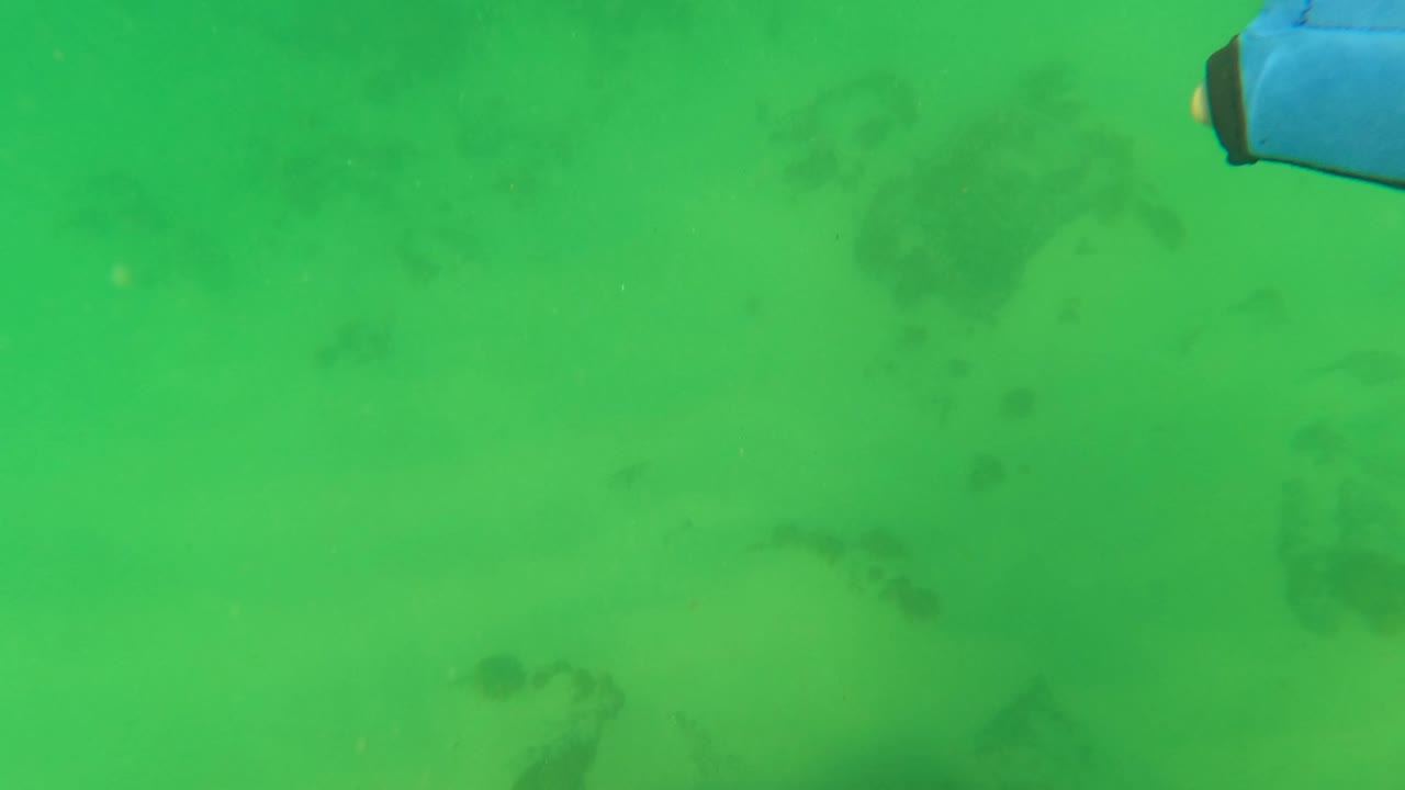 Green underwater view in Los Barriles, Baja California Sur, showing dark coral or rock patches below the surface and a blue gear edge entering from the top, with no visible people.