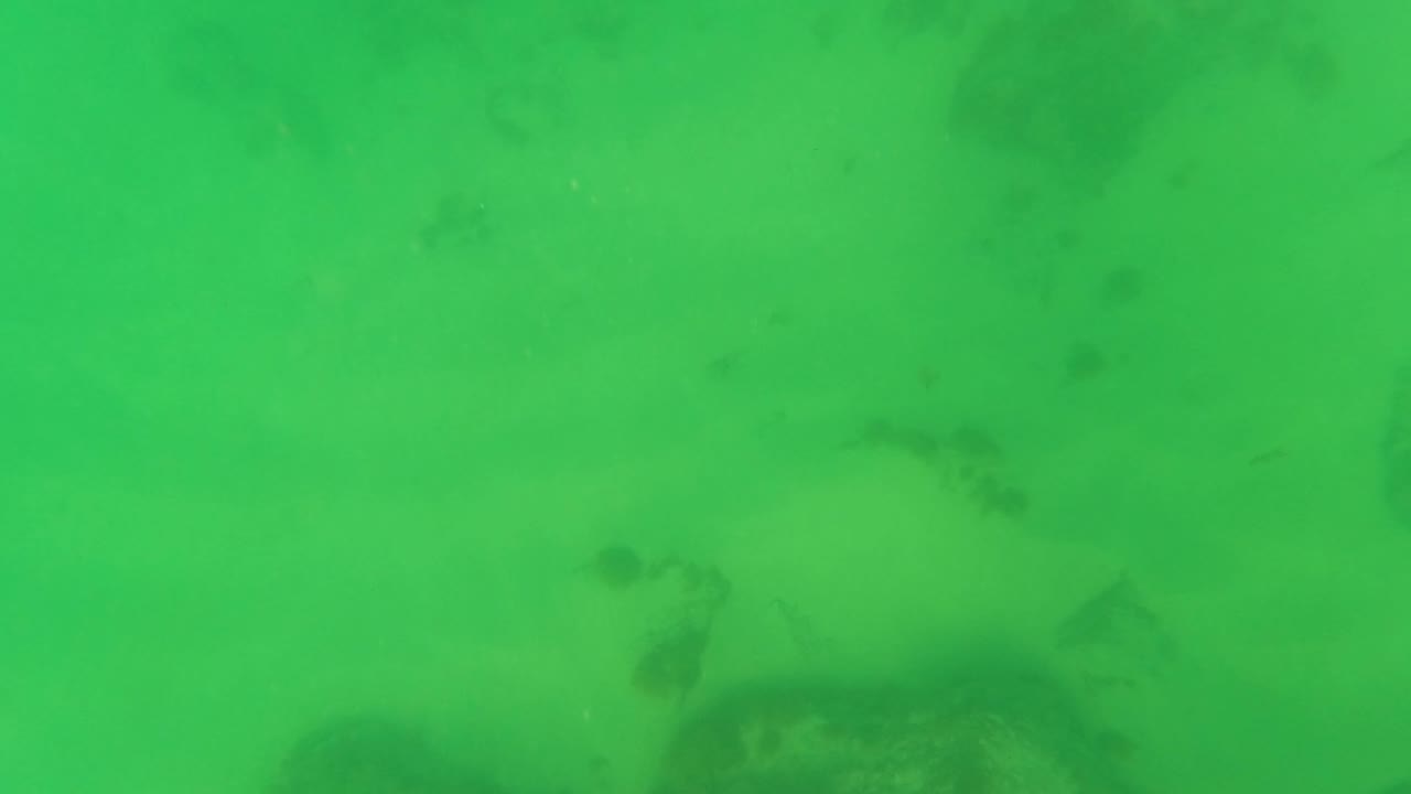 Green ocean water with faint dark rocks beneath the surface.