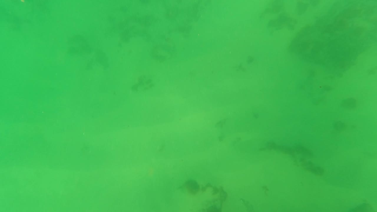 Downward-looking underwater view in Los Barriles, Baja California Sur, showing diffuse green water and darker seabed formations near the lower frame, with no visible people.