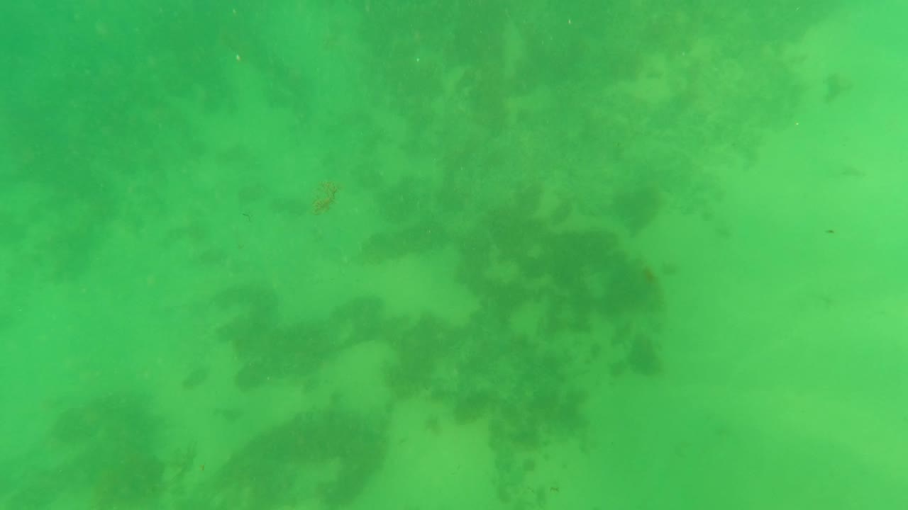 Underwater frame from Los Barriles, Baja California Sur, with clear green water, pale sand, scattered dark algae patches, and no visible people.