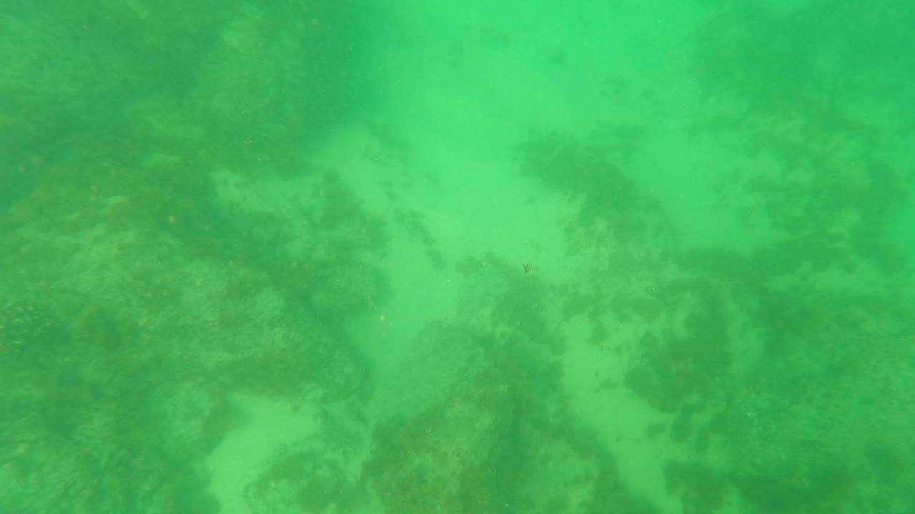 Green underwater view of rocky reef and sandy seabed
