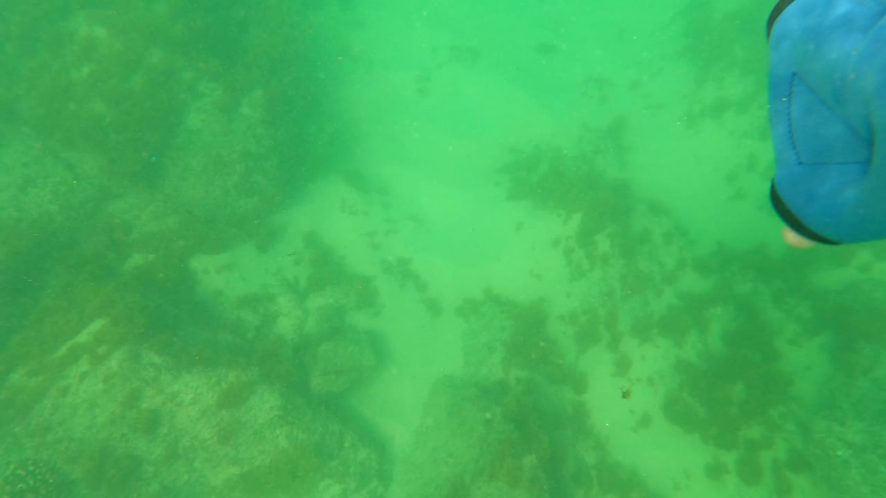 Underwater reef in Los Barriles with green water, dark rock formations, sandy gaps, and a blue fin-like object entering near the top edge, no visible people.