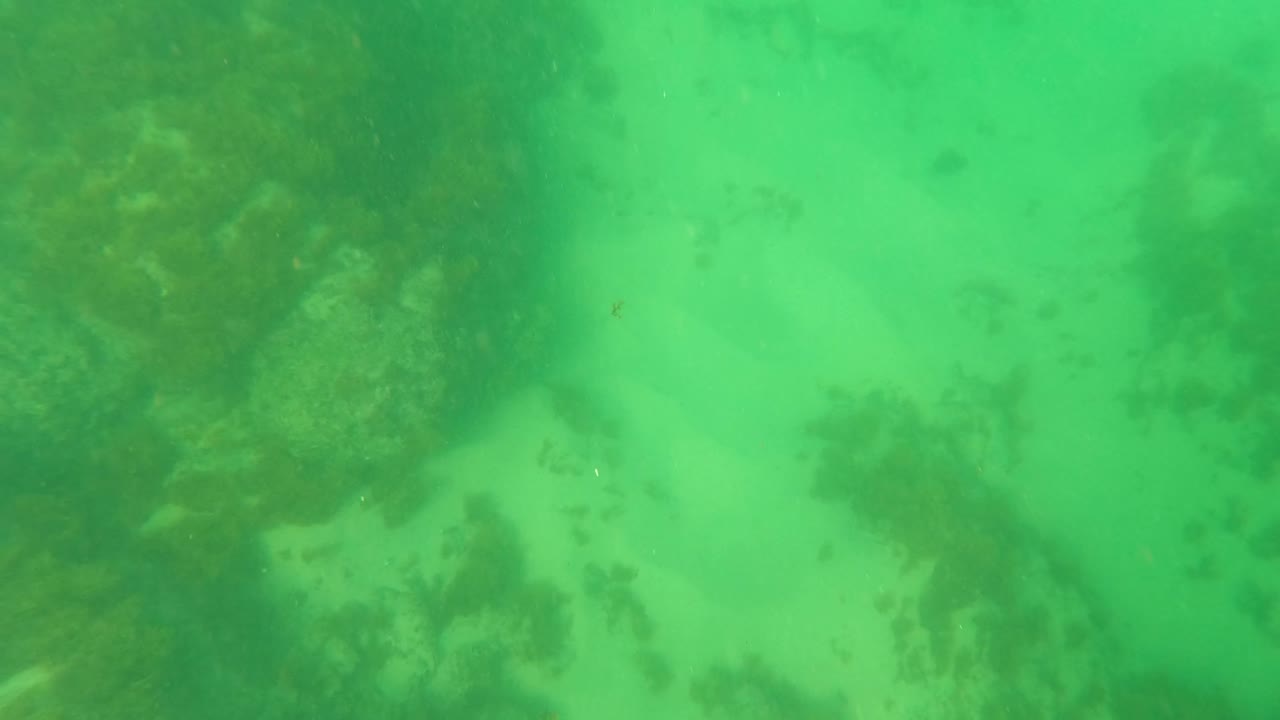 Green underwater view in Los Barriles showing reef rocks and pale sand across the ocean floor, with no visible people in the frame.