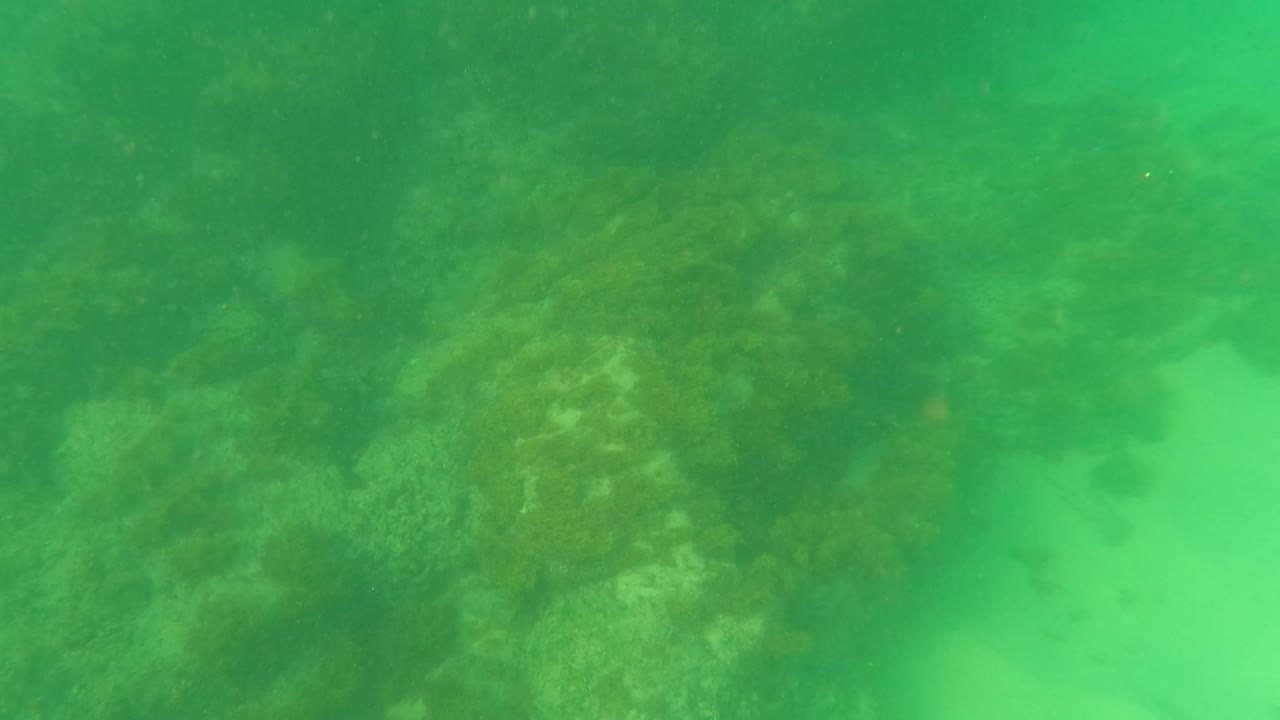 Los Barriles underwater frame with green water haze, darker reef clusters, and sandy channels across the seabed, no visible people.
