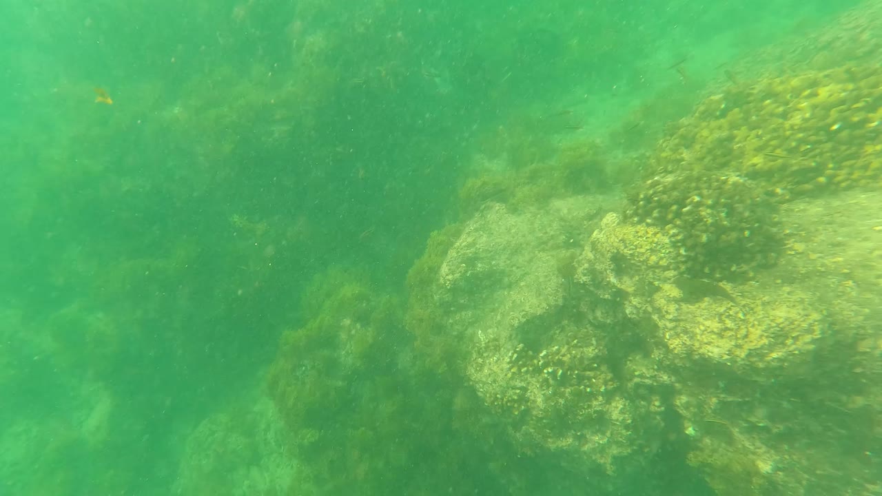 Rock formations continue across the seabed in Los Barriles, with yellow-green marine growth, faint small fish, and no visible people.