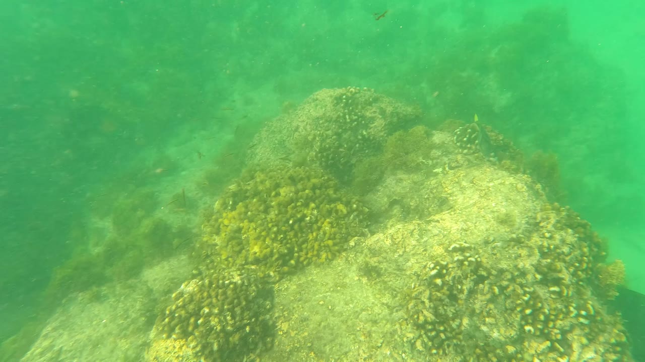 A foreground rock ledge with yellowish marine growth sits above a paler sandy patch underwater at Los Barriles, with no visible people.