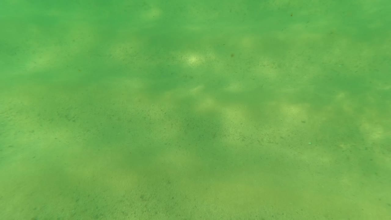 Green-tinted underwater view over a sandy seabed in Los Barriles, Baja California Sur, with soft light patches and no visible people.