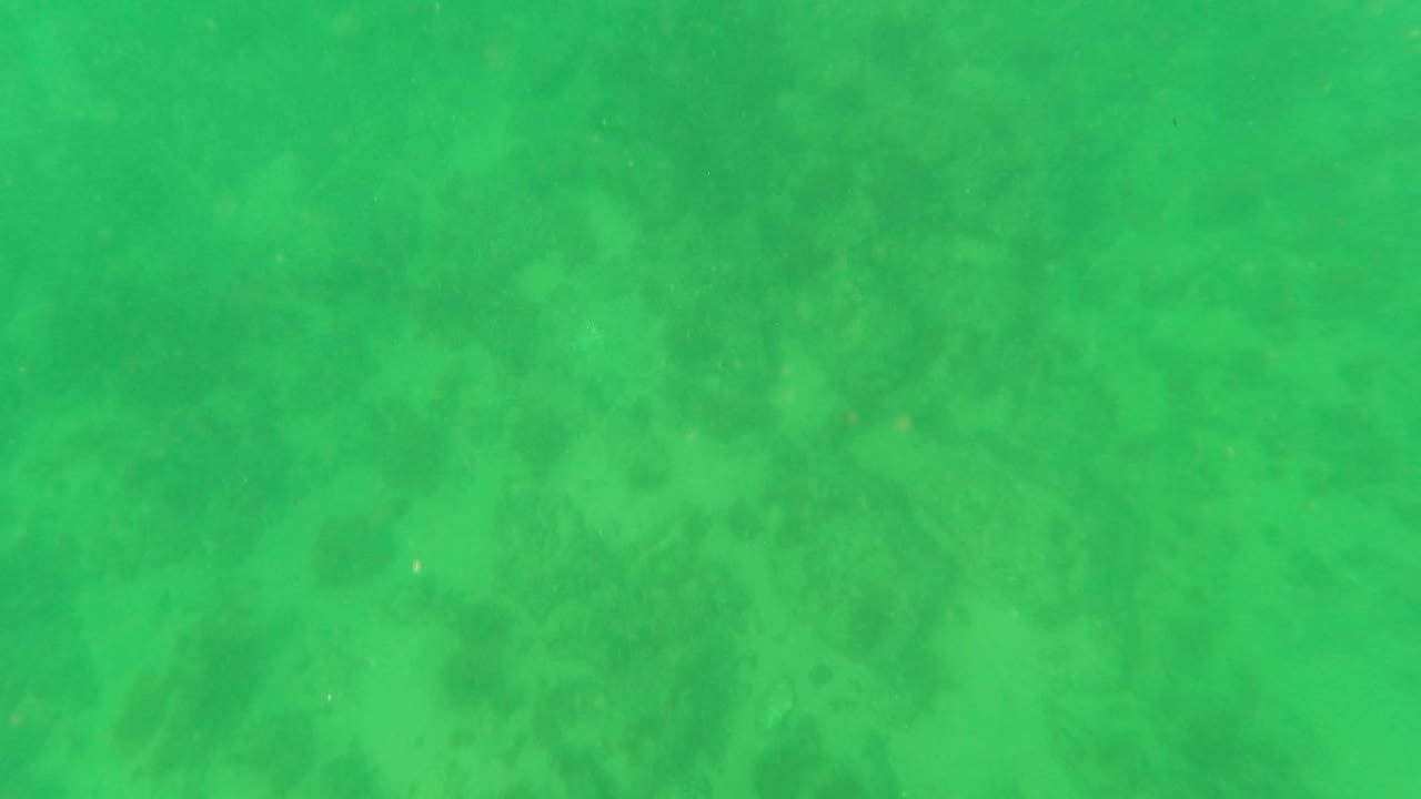 Green underwater view over a faint sandy rocky seabed