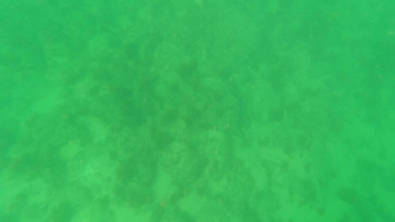Underwater frame in Los Barriles, Baja California Sur, Mexico, with soft green water and muted seabed texture visible beneath, no visible people.