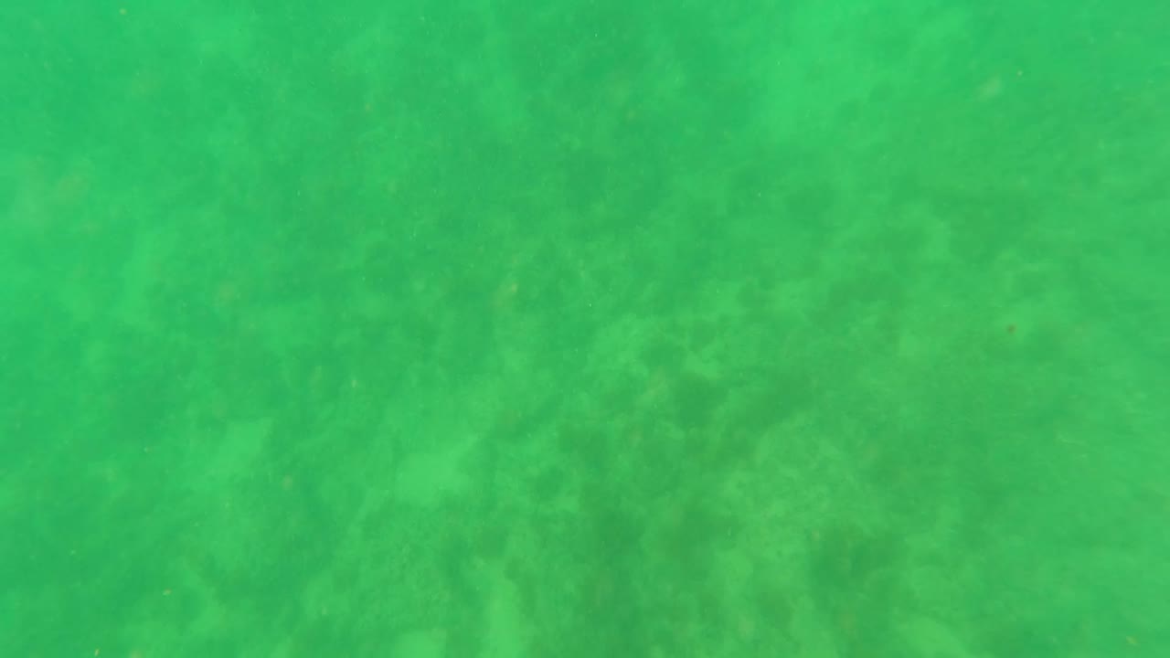 Mid-clip underwater view in Los Barriles, Baja California Sur, Mexico, where darker seabed patches show through the green water and no people are visible.