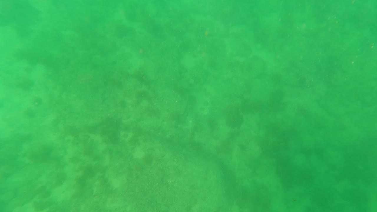 Later underwater frame from Los Barriles, Baja California Sur, Mexico, with soft ocean floor detail under green water and no visible people.