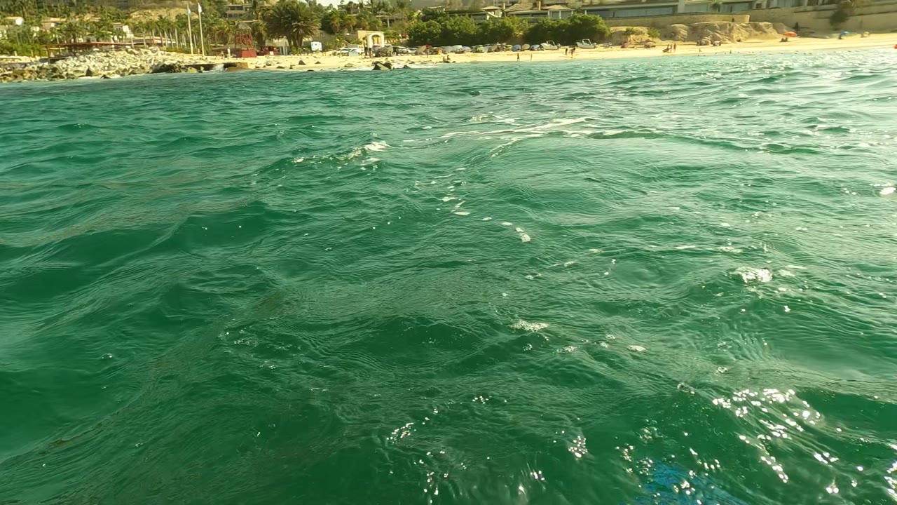 Turquoise water with beach, buildings, and palm trees in the distance.