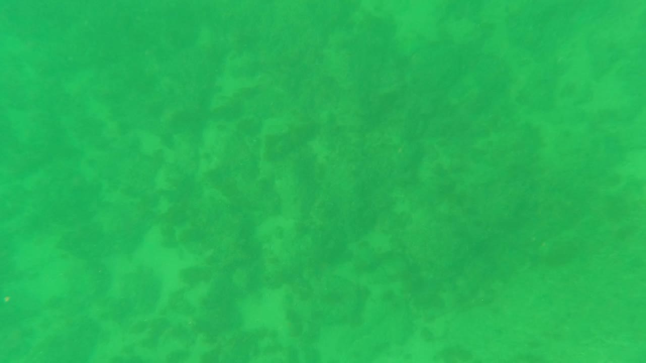 Opening frame of green underwater seabed texture in Los Barriles, Baja California Sur, with cloudy marine vegetation patches and no visible people.