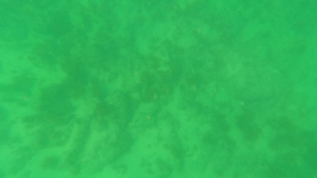 Early frame showing green water and a low-contrast seabed in Los Barriles, with patchy marine vegetation visible through the water and no visible people.