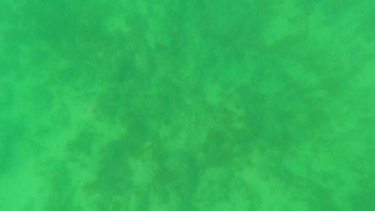 Mid-early frame from Los Barriles showing the ocean floor through green water, with darker patches of marine vegetation and no visible people.