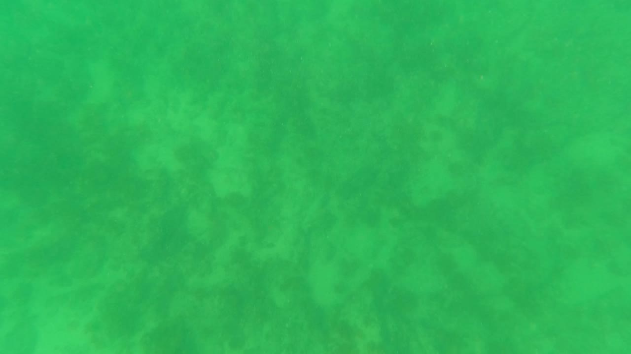 Midpoint frame of the Los Barriles underwater clip, showing diffuse green water over sparse seabed vegetation with no visible people.
