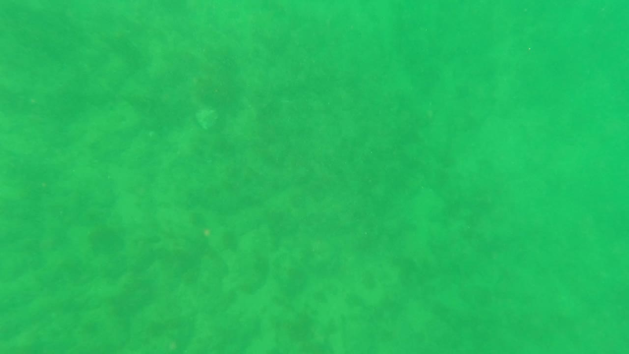 Second frame shows green murky water in Los Barriles, Baja California Sur, with suspended particles over a soft sandy bottom and no visible people.