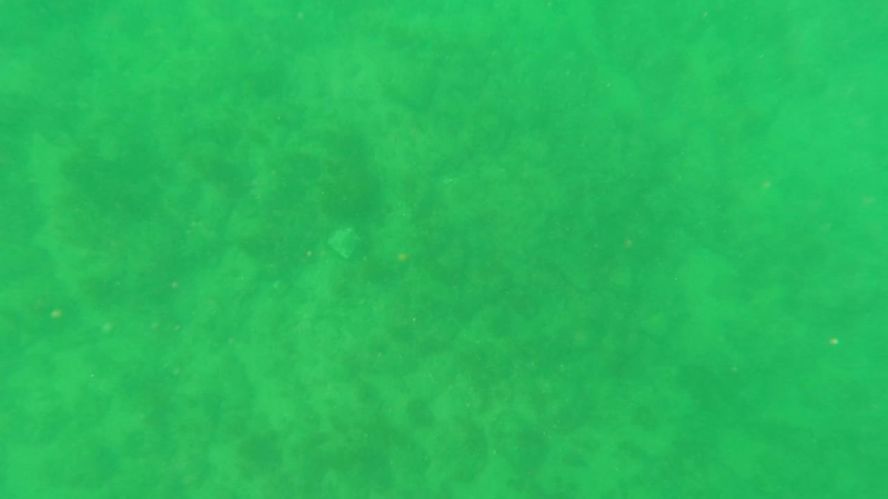 Mid-clip frame in Los Barriles, Baja California Sur, showing a green water column above faint sandy ocean floor detail with no visible people.