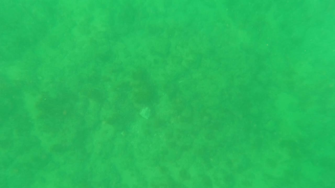 Fourth frame shows mottled sandy seabed texture under green water in Los Barriles, Baja California Sur, with no visible people.
