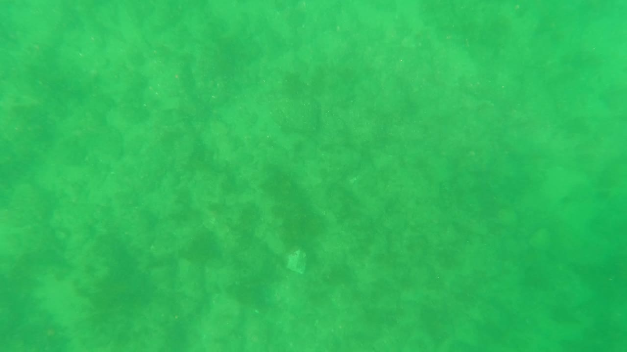 At 0:00, green-tinted water covers a sandy seabed in Los Barriles, Baja California Sur, with faint suspended particles and no visible people.