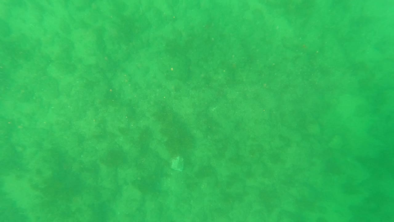 At 0:01, the frame remains pointed down through green water toward the sandy ocean floor in Los Barriles, with soft seabed texture and no visible people.