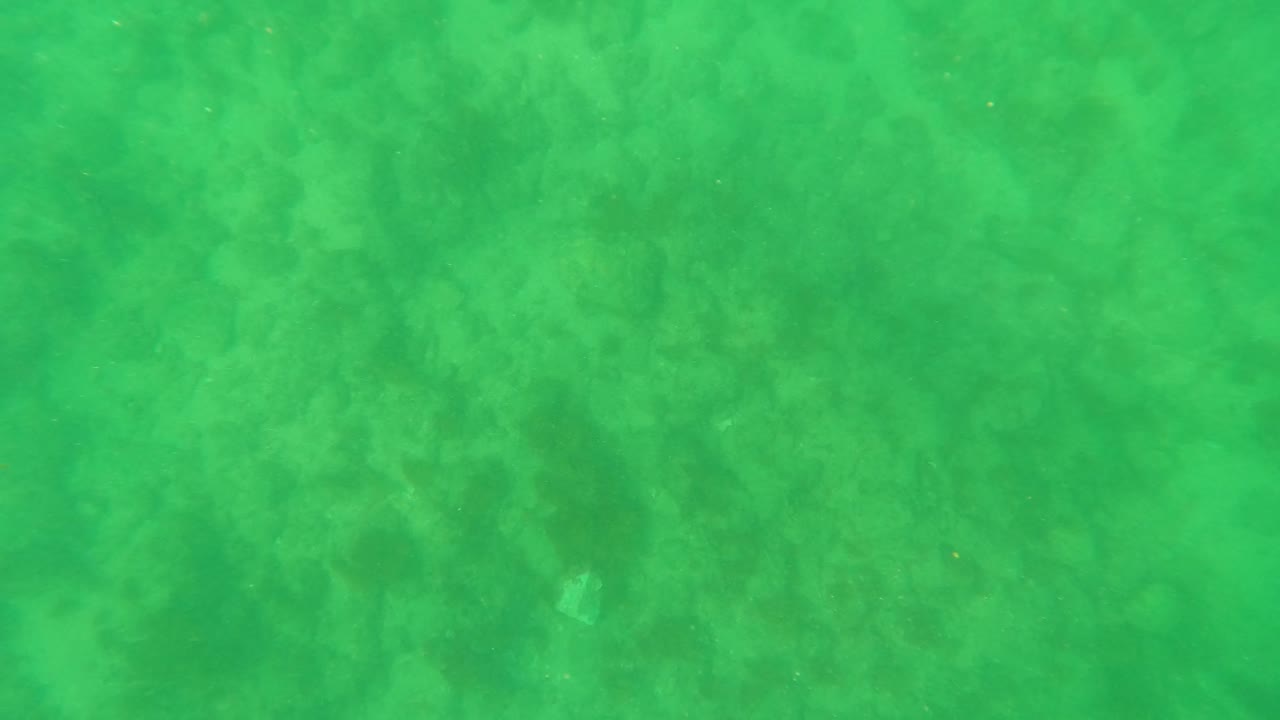 At 0:02, small bright particles or tiny fish specks appear in green water above the sandy seabed in Los Barriles, with no visible people.