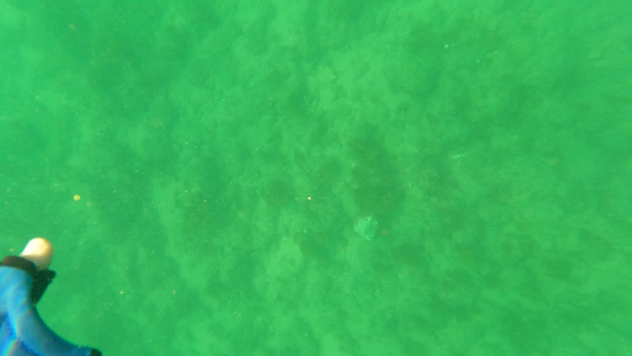 Underwater sandy bottom with green tint and a partial swimmer edge at the bottom.