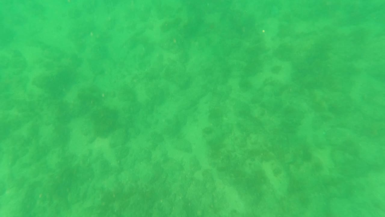 Opening frame of green-tinted water over a mottled sandy seabed in Los Barriles, Baja California Sur, with suspended particles and no visible people.