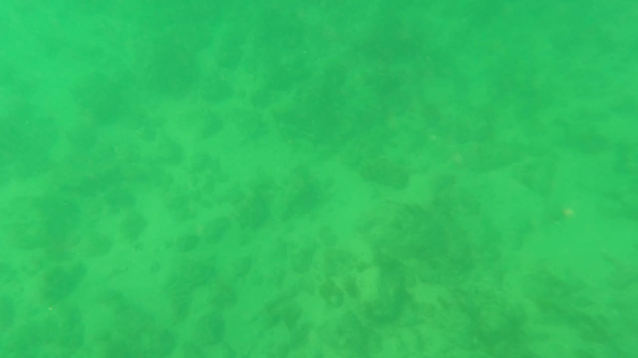 Third frame presents a softly lit sandy seabed under green-tinted water in Los Barriles, Baja California Sur, with faint suspended particles and no visible people.