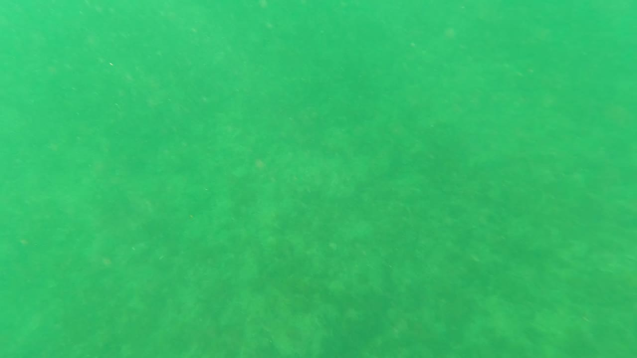 Green underwater view in Los Barriles, Baja California Sur, with faint seabed texture and no visible people.