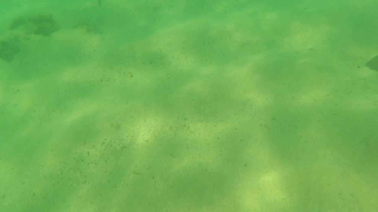 Opening underwater frame in Los Barriles, Baja California Sur, showing green water over a pale sandy seabed with no visible people.