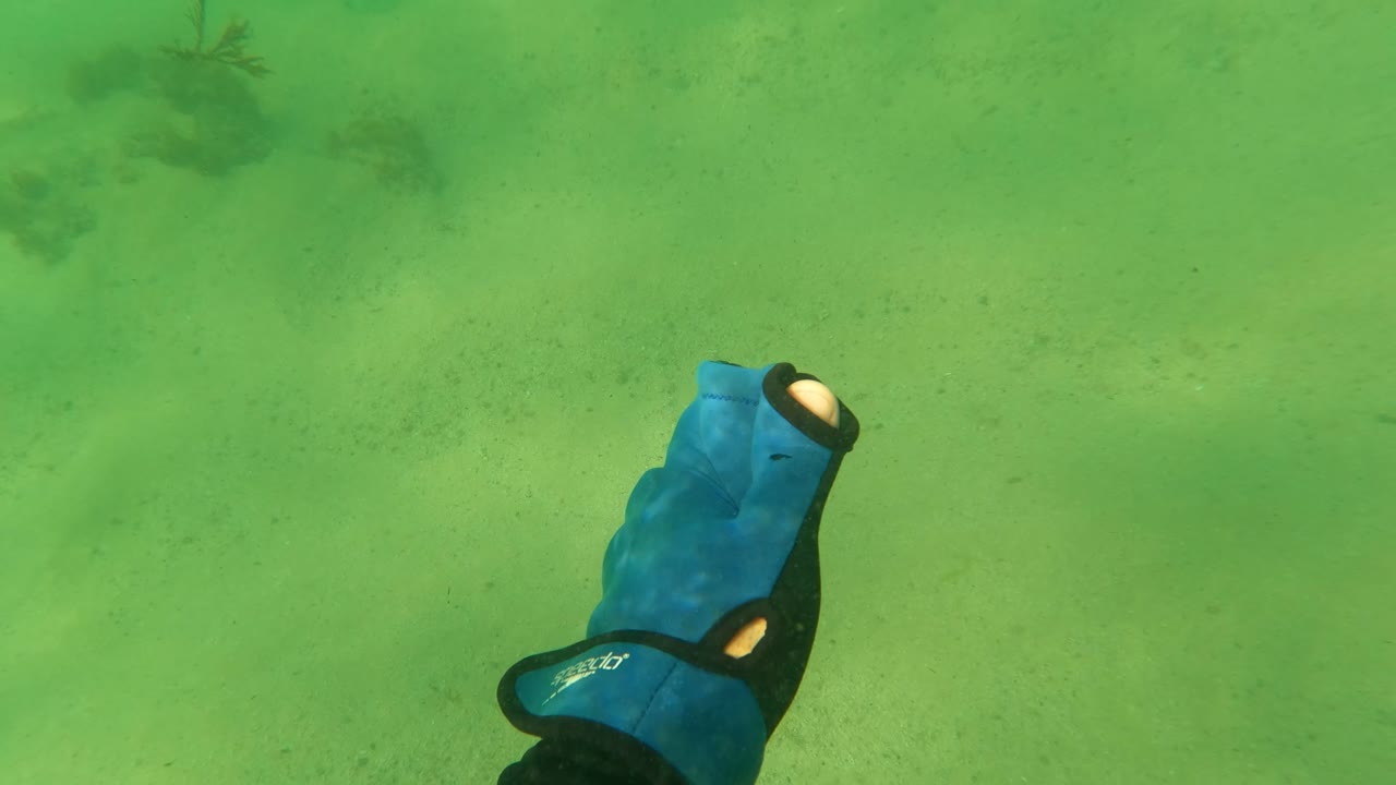 A blue and black dive glove appears near the lower right over the sandy seabed in Los Barriles, with no visible face or full person.