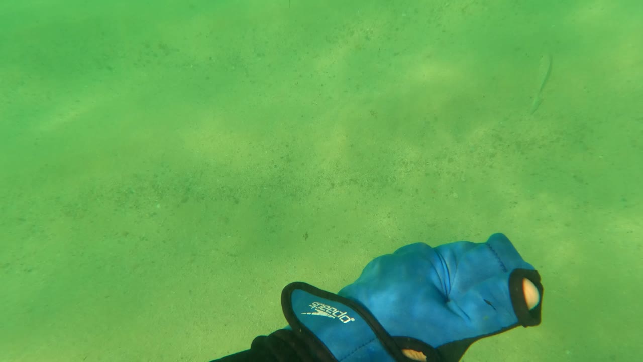 Blue dive glove at lower left over green sandy seabed.