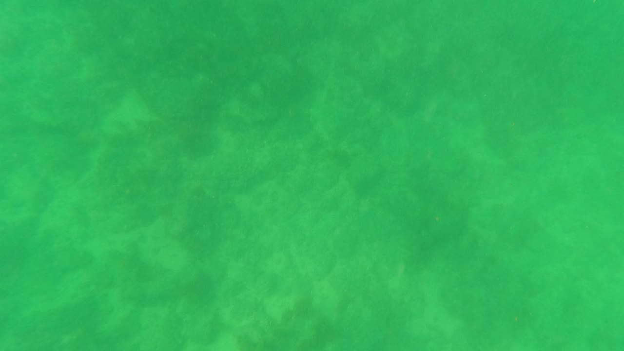 Opening underwater frame in Los Barriles, Baja California Sur, showing green-tinted water over a faint sandy seabed with no visible people.