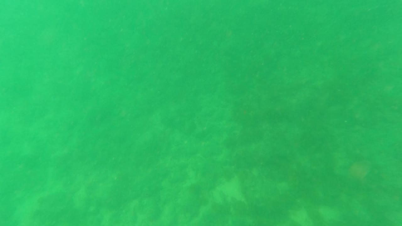 Shallow green water over a sandy ocean floor.